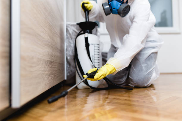 Best Wildlife Control Services  in Ashley, OH