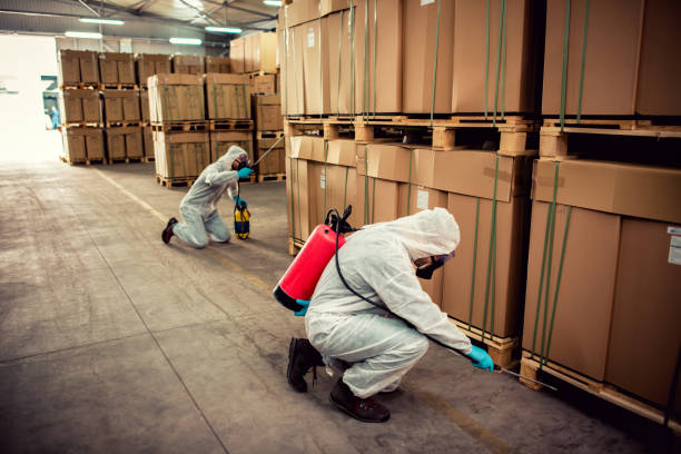 Best Affordable Exterminators  in Ashley, OH