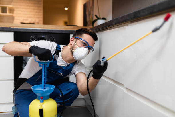 Best Pest Removal Services  in Ashley, OH