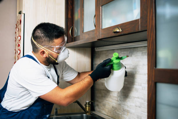 Best Pest Control Near Me  in Ashley, OH