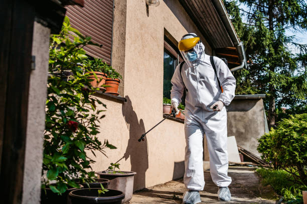 Best Pest Control Near Me  in Ashley, OH