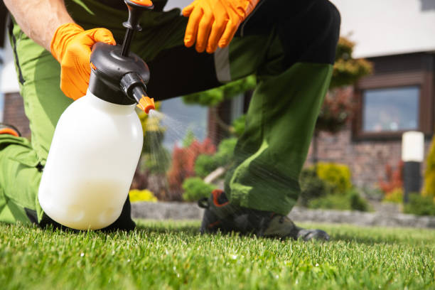 Best Commercial Pest Control Services  in Ashley, OH