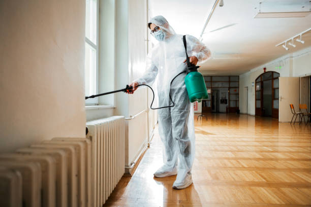 Best Pest Control for Homes  in Ashley, OH