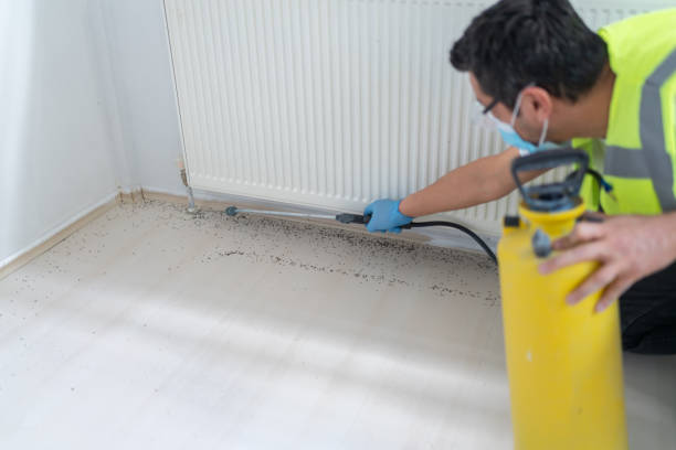 Best Emergency Pest Control  in Ashley, OH